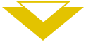 yellow-triangle